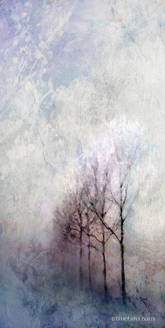 First Light Winter Forest Poster Print by Bluebird Barn Bluebird Barn