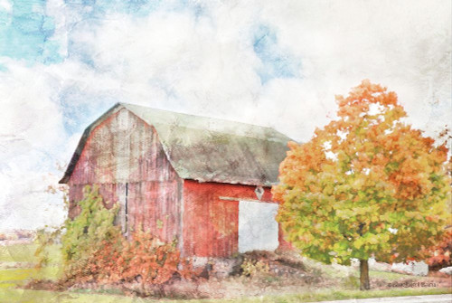 Autumn Maple by the Barn Poster Print by Bluebird Barn Bluebird Barn - Item # VARPDXBLUE233