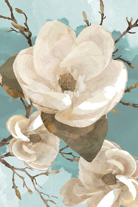 Magnolia II Poster Print by Bluebird Barn Bluebird Barn - Item # VARPDXBLUE278