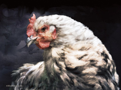 Rooster Portrait Poster Print by Bluebird Barn Bluebird Barn - Item # VARPDXBLUE286