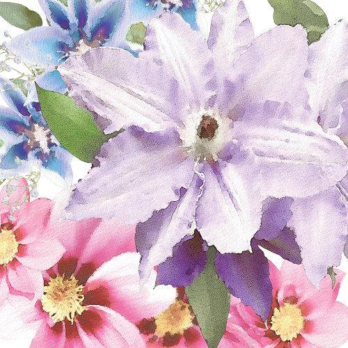 Clematis II Poster Print by Bluebird Barn Bluebird Barn - Item # VARPDXBLUE290