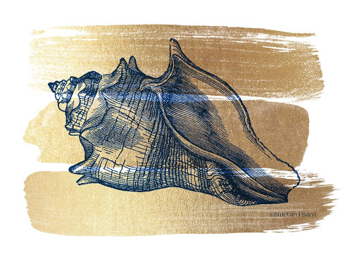 Brushed Gold Seashell Poster Print by Bluebird Barn Bluebird Barn - Item # VARPDXBLUE341