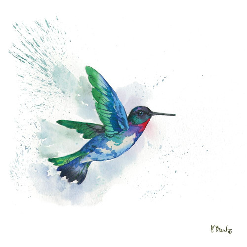Arianna Hummingbird I Poster Print by Paul Brent - Item # VARPDXBNT1451