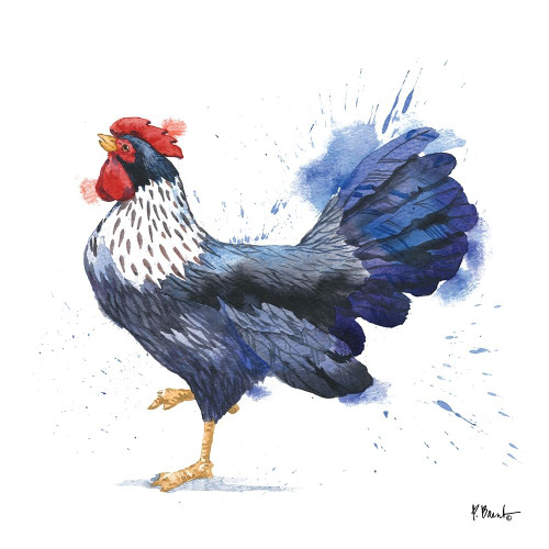 Arianna Rooster II Poster Print by Paul Brent - Item # VARPDXBNT1456