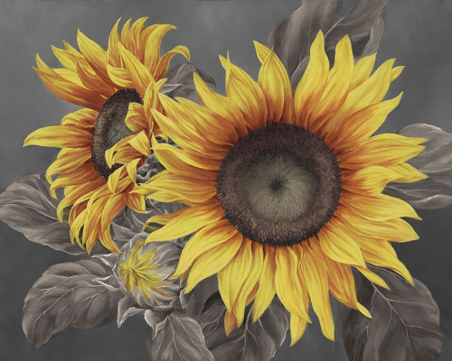 We are the sun III Poster Print by Marianne Broome - Item # VARPDXBR036A
