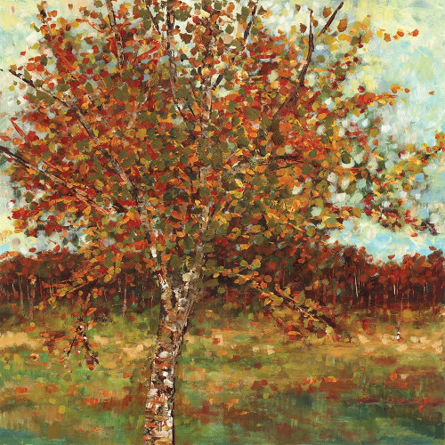 Fresh Landscape II Poster Print by Carmen Dolce - Item # VARPDXCA037A