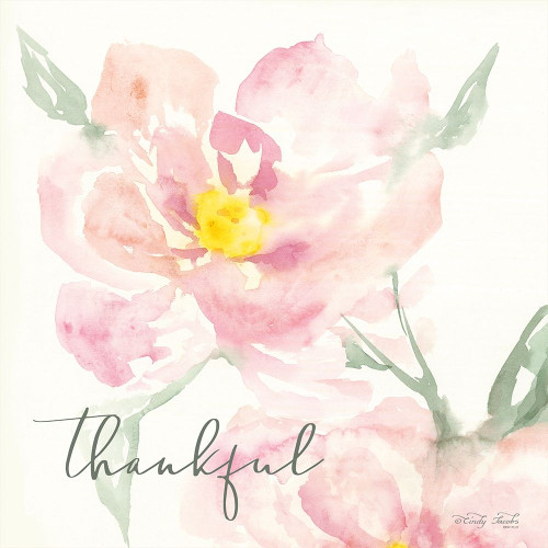 Floral Thankful Poster Print by Cindy Jacobs - Item # VARPDXCIN1372