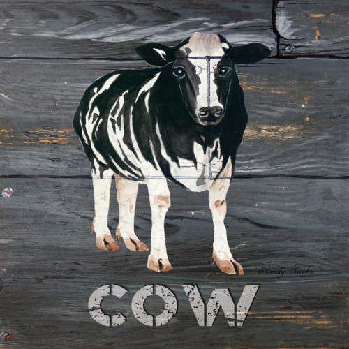 Cow Poster Print by Cindy Jacobs