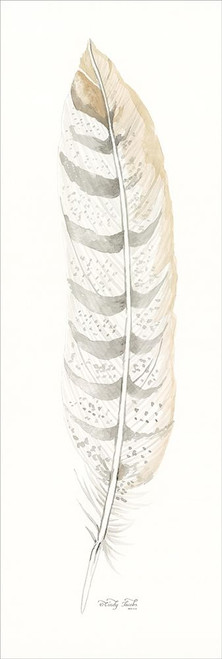 Tonal Feather II Poster Print by Cindy Jacobs - Item # VARPDXCIN879