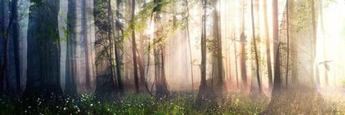 Constancy Poster Print by Cynthia Decker - Item # VARPDXD2016D