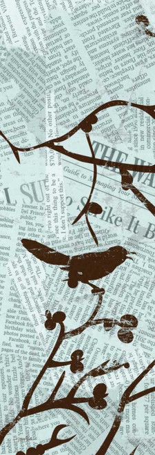 Bird Branches 1 Poster Print by Diane Stimson - Item # VARPDXDSPL246A