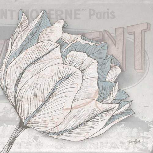 Saumur Fleur 2 Poster Print by Diane Stimson - Item # VARPDXDSSQ288B