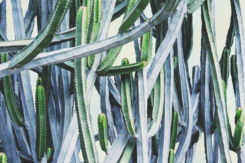 Green Crush I Poster Print by Elizabeth Urquhart - Item # VARPDXEURC005A