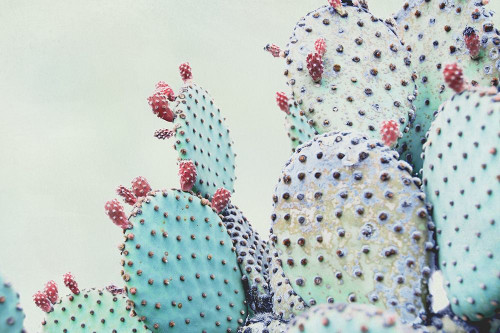 Green Crush VI Poster Print by Elizabeth Urquhart - Item # VARPDXEURC005G