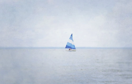 Misty Morning III Poster Print by Elizabeth Urquhart
