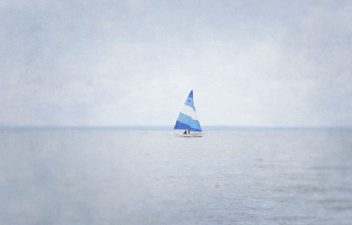 Misty Morning III Poster Print by Elizabeth Urquhart - Item # VARPDXEURC009C