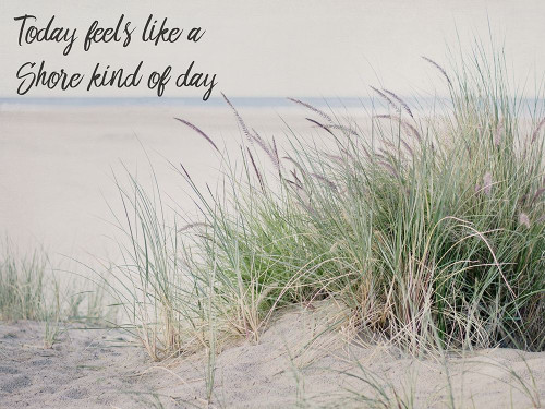 Shore Feelings 2 Poster Print by Elizabeth Urquhart - Item # VARPDXEURC012C