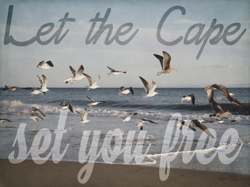 Cape Be Free Poster Print by Elizabeth Urquhart - Item # VARPDXEURC014A