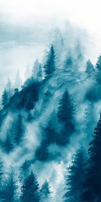 Foggy Dew III  Poster Print by Eva Watts - Item # VARPDXEW296A