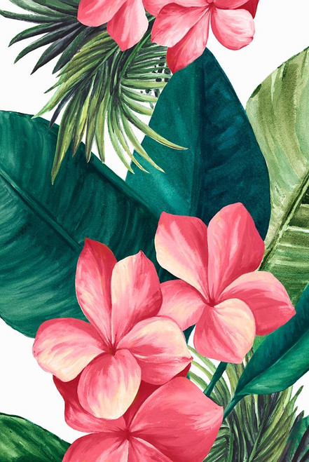 Edens Garden  Poster Print by Eva Watts