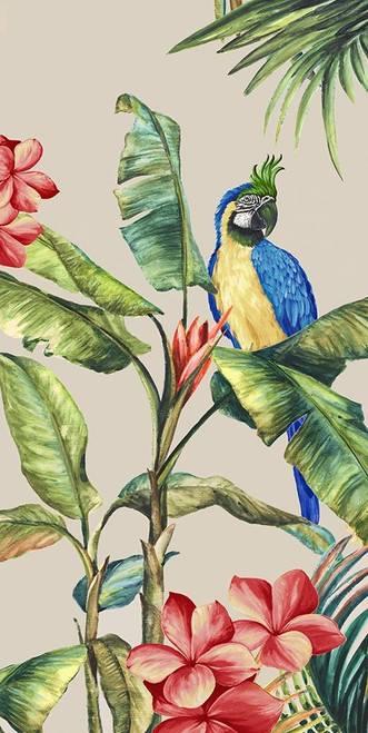 Tropicano II  Poster Print by Eva Watts - Item # VARPDXEW315AF1