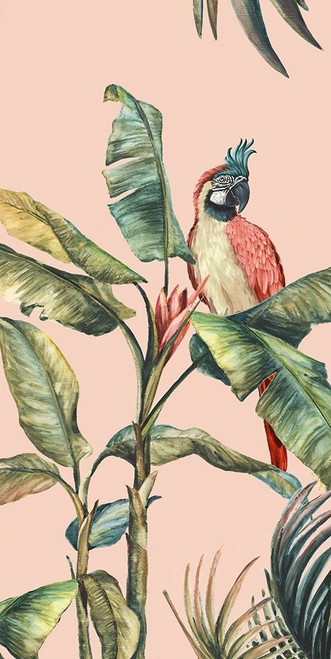 Tropicano II  Poster Print by Eva Watts - Item # VARPDXEW315F2