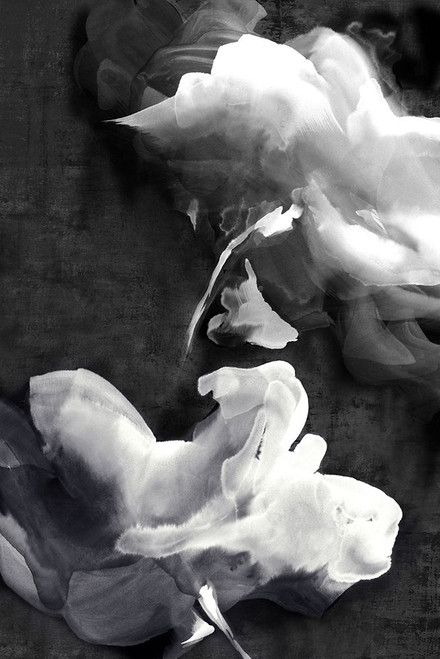 Dark Beauty I  Poster Print by Eva Watts - Item # VARPDXEW365A