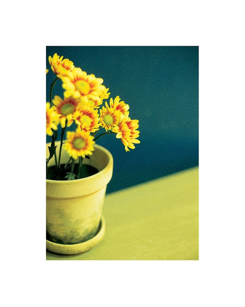 Ganziea Flower Poster Print by Frontline Frontline - Item # VARPDXF101136