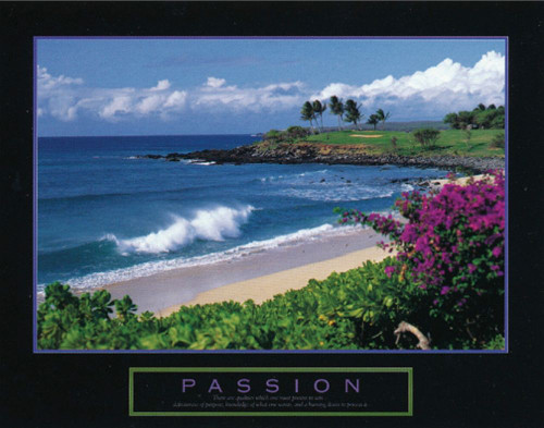 Passion - Beach Poster Print by Unknown Unknown - Item # VARPDXF101500