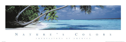 Natures Colors Palm Trees Poster Print by Unknown Unknown - Item # VARPDXF102224