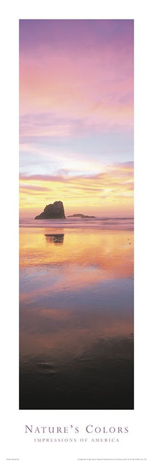Natures Colors Beach Poster Print by Unknown Unknown - Item # VARPDXF102228