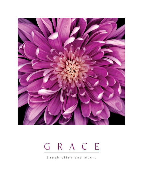 Grace - Purple Mum Poster Print by Unknown Unknown - Item # VARPDXF102236