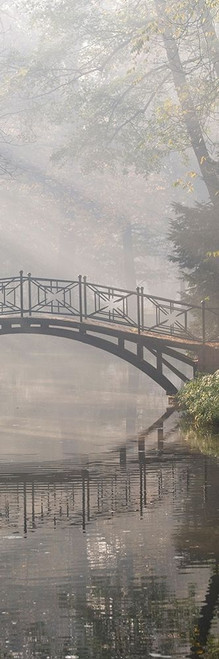 Bridge in the Mist II Poster Print by Anonymous Anonymous - Item # VARPDXFAF535