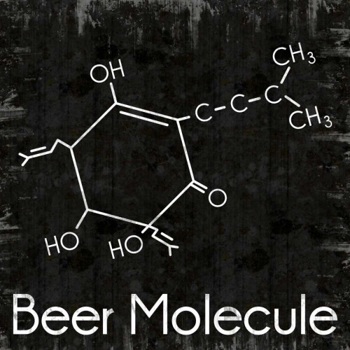 Beer Molecule 2 Poster Print by Lauren Gibbons - Item # VARPDXGLSQ118B