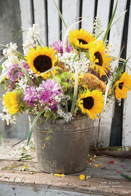 Bucket of Sunshine Poster Print by Irvin Hoover - Item # VARPDXHOO110