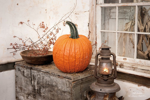 Fall Lantern Poster Print by Irvin Hoover - Item # VARPDXHOO114
