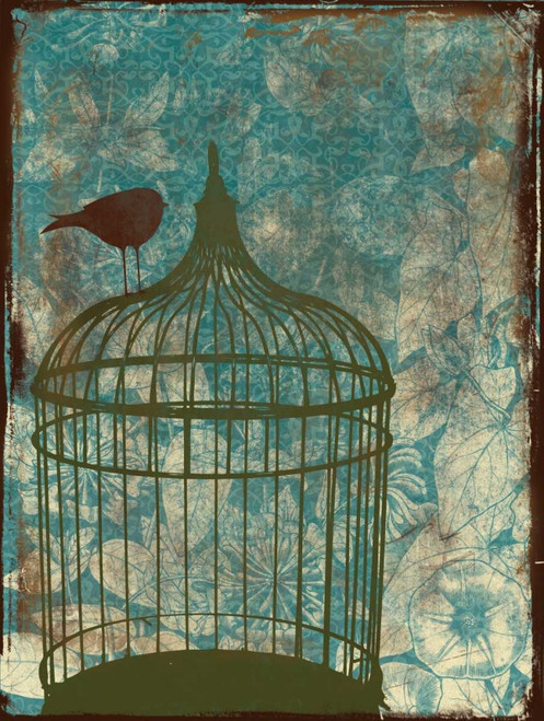 Birdcage on Teal 2 Poster Print by Jace Grey - Item # VARPDXJGRC016B