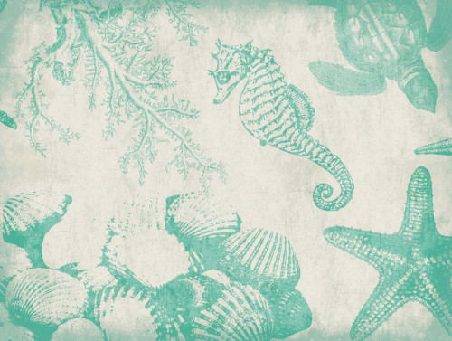 Sea Life in Teal 1 Poster Print by Jace Grey - Item # VARPDXJGRC037G