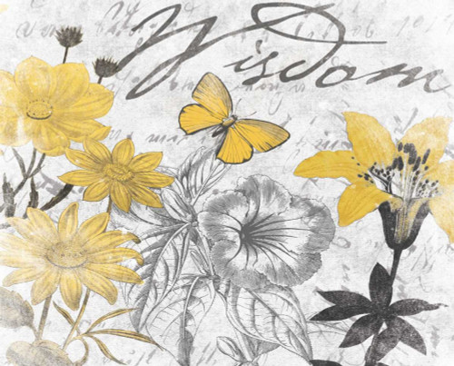 Wisdom Floral B Poster Print by Jace Grey - Item # VARPDXJGRC045B