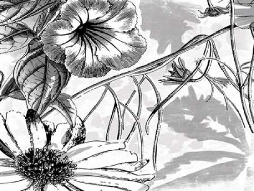 Simple BW Flower Poster Print by Jace Grey - Item # VARPDXJGRC076A2