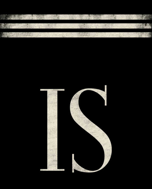 Is Poster Print by Jace Grey - Item # VARPDXJGRC098D