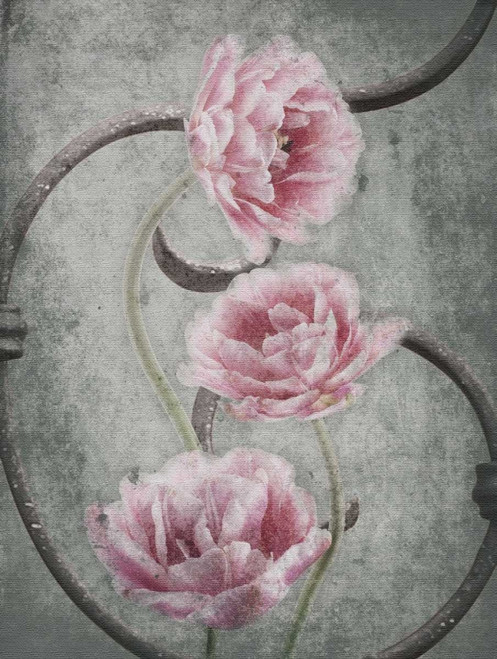 Floral Fence Poster Print by Jace Grey - Item # VARPDXJGRC115A