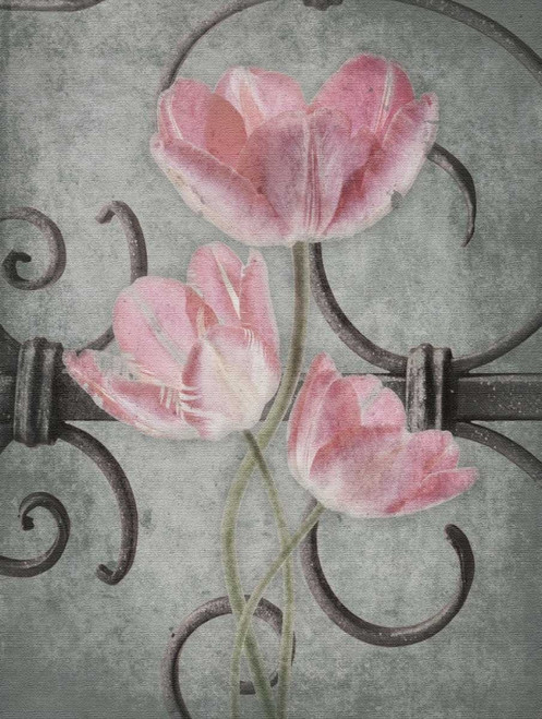 Floral Fence Mate Poster Print by Jace Grey