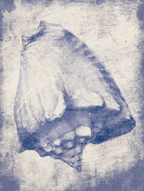 Shell Shade Poster Print by Jace Grey - Item # VARPDXJGRC136A