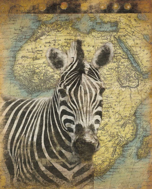 Zebra Africa Poster Print by Jace Grey - Item # VARPDXJGRC196A