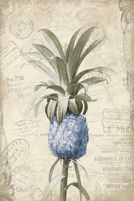 Blue Pineapple Poster Print by Jace Grey - Item # VARPDXJGRC201A
