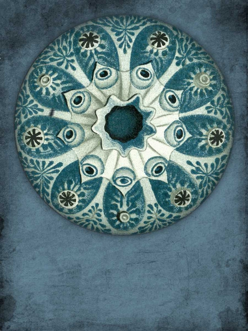 Blue Coastal Poster Print by Jace Grey - Item # VARPDXJGRC206A