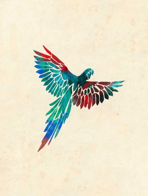 Tropical Parrot Poster Print by Jace Grey - Item # VARPDXJGRC230A