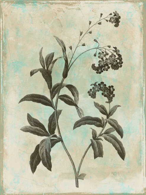 Earthy floral 1 Poster Print by Jace Grey - Item # VARPDXJGRC255A2