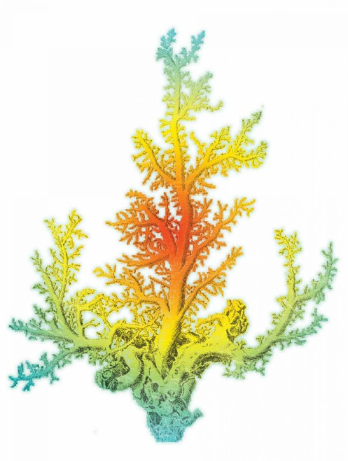 Colorful beach mate Poster Print by Jace Grey - Item # VARPDXJGRC258B